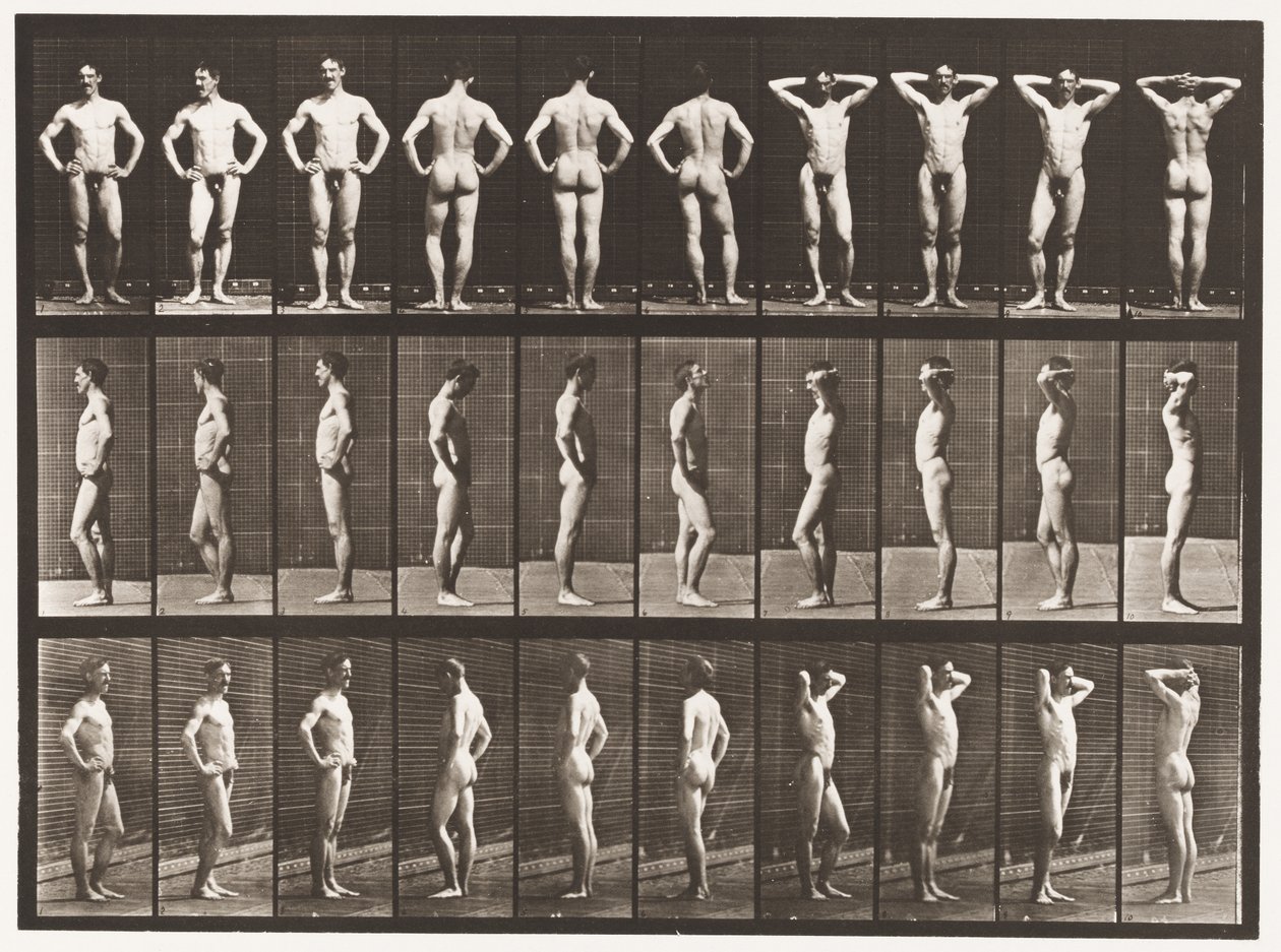 Tallerken 530. Ulike stillinger av Eadweard Muybridge