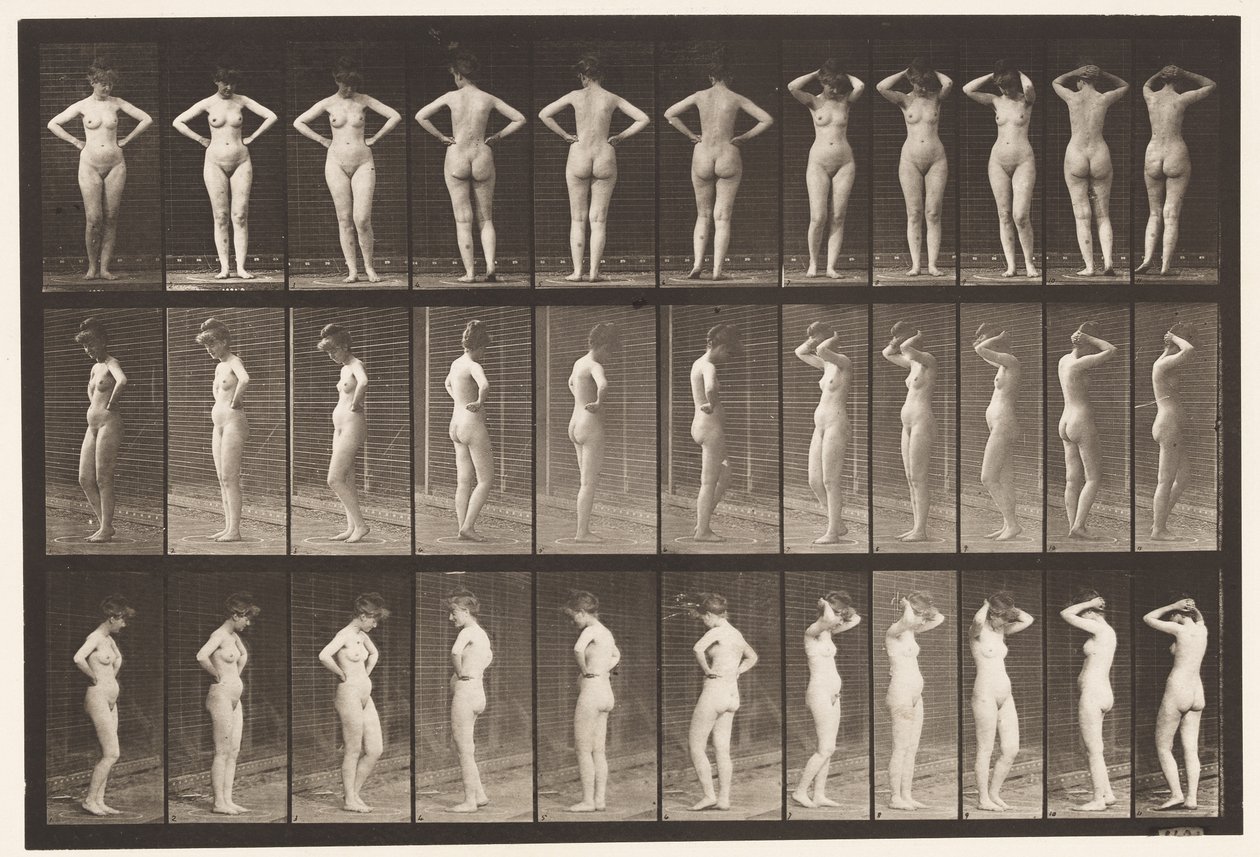 Tallerken 531. Diverse stillinger av Eadweard Muybridge