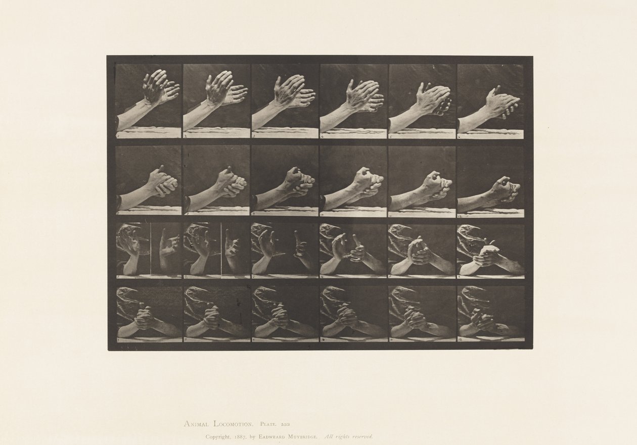Plate 533. Bevegelse av hånden; Klapper hender, 1885 av Eadweard Muybridge