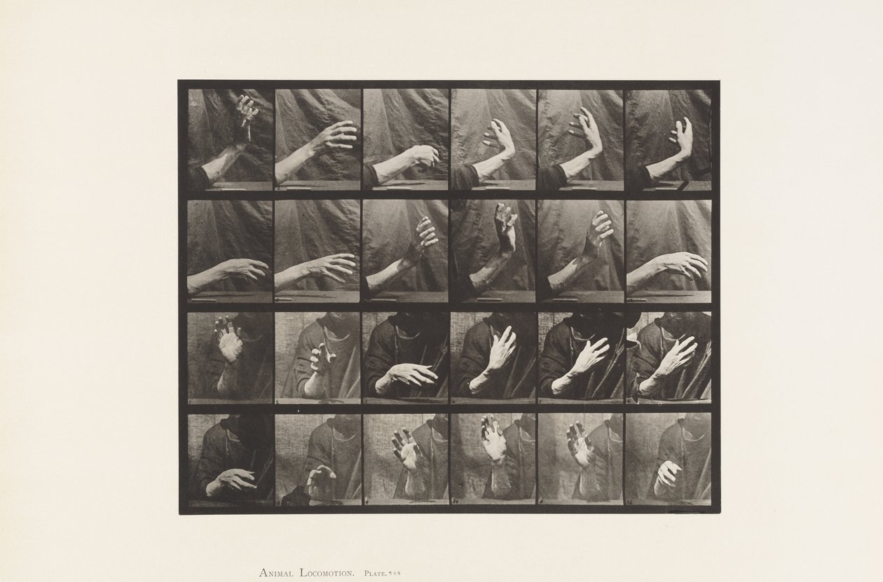 Plate 535. Bevegelse av hånden; Beating Time, 1885 av Eadweard Muybridge