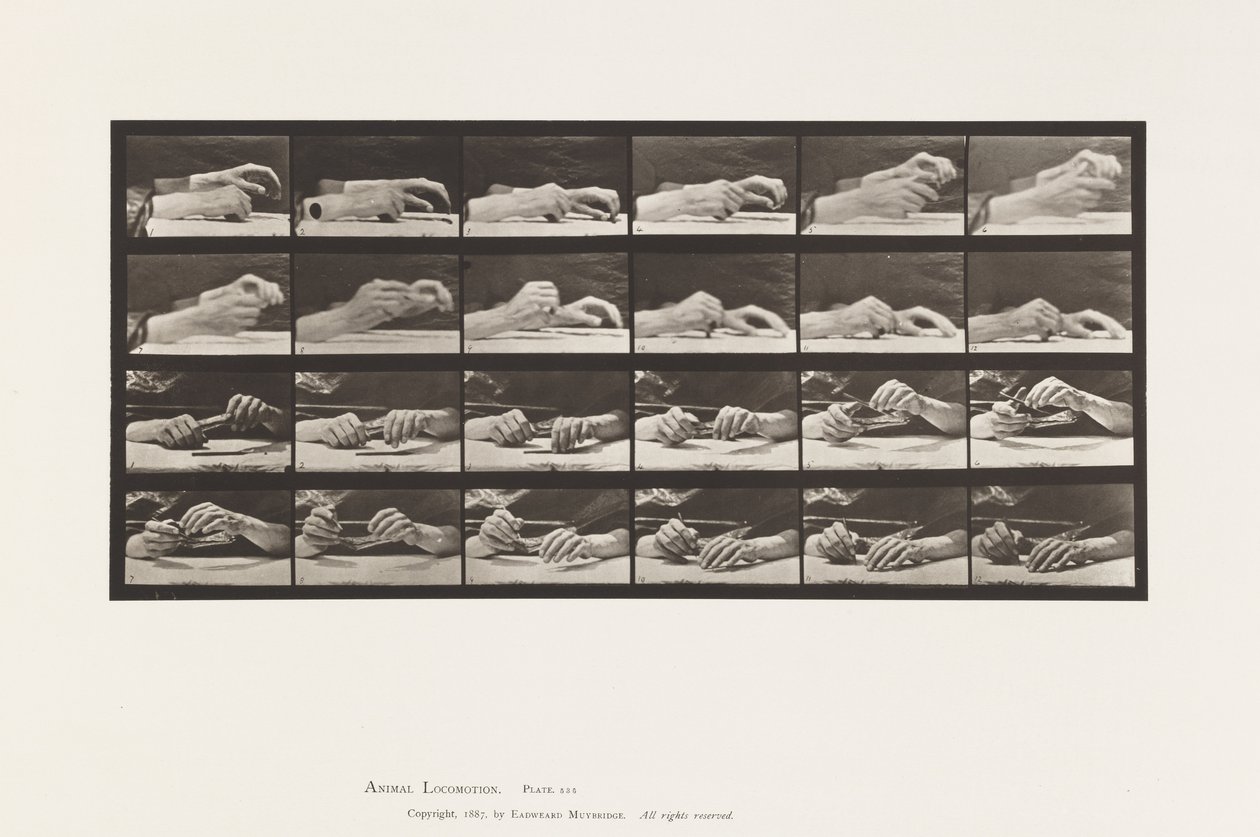 Plate 536. Bevegelse av hånden; hender som skifter blyant av Eadweard Muybridge