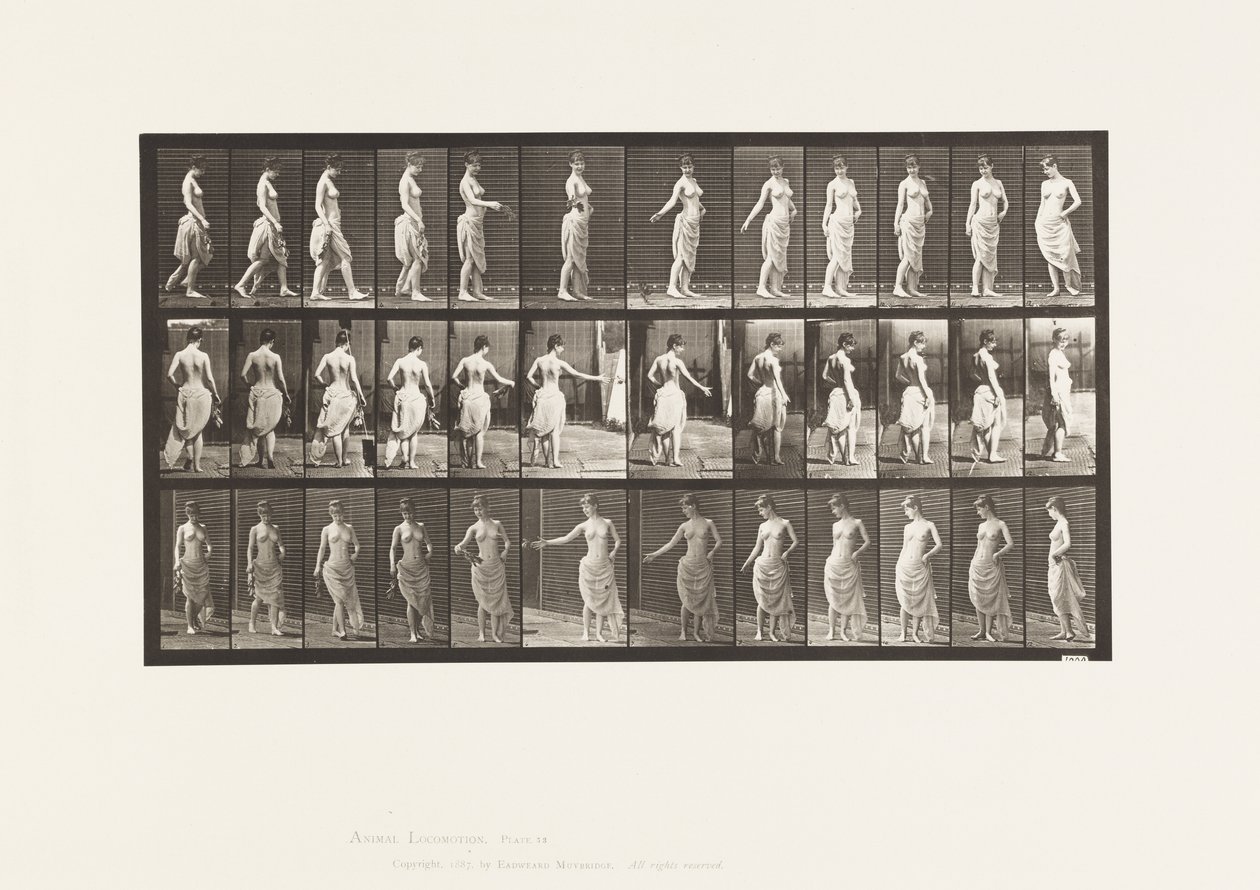 Plate 53. Gå, spre blomster og snuhandling av Eadweard Muybridge