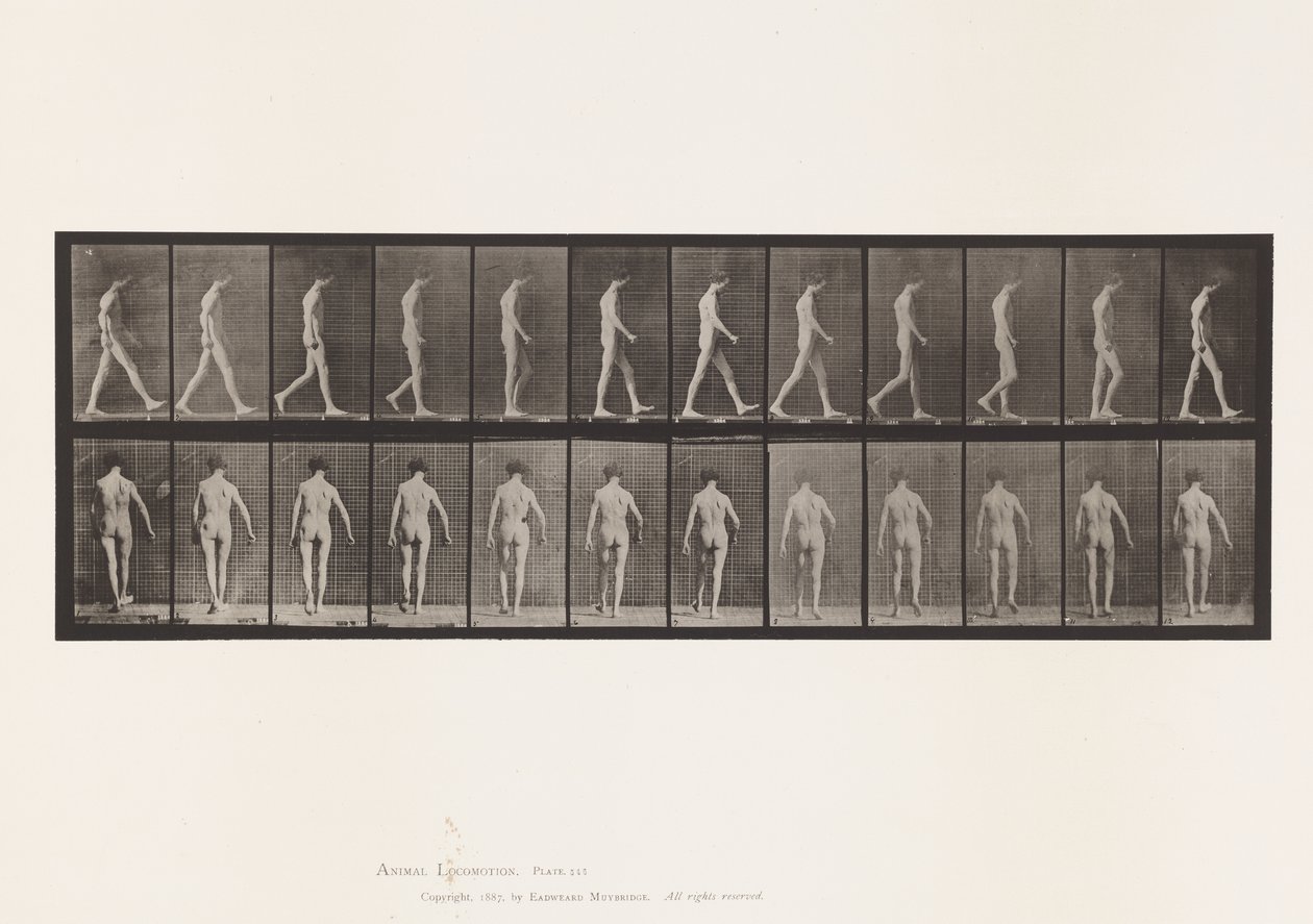 Plate 546.Locomotor Ataxia; Gående, 1885 av Eadweard Muybridge