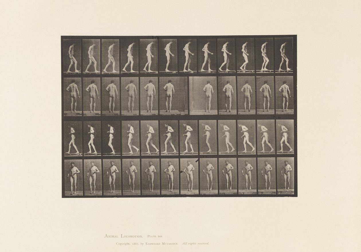 Plate 548. Lateral sklerose; A,B, gåing, 1885 av Eadweard Muybridge