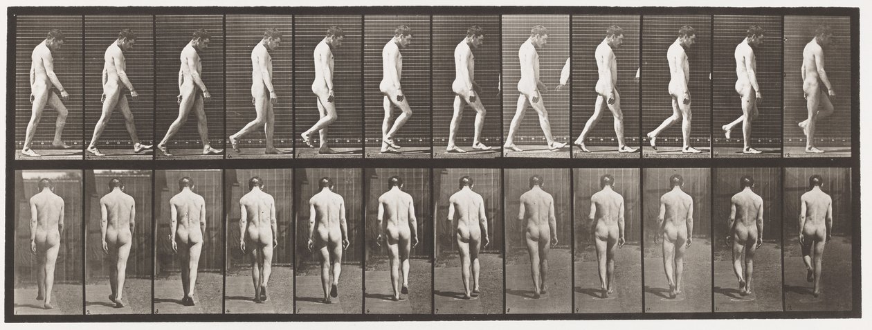 Plate 549.Epilepsi; Gående, 1885 av Eadweard Muybridge