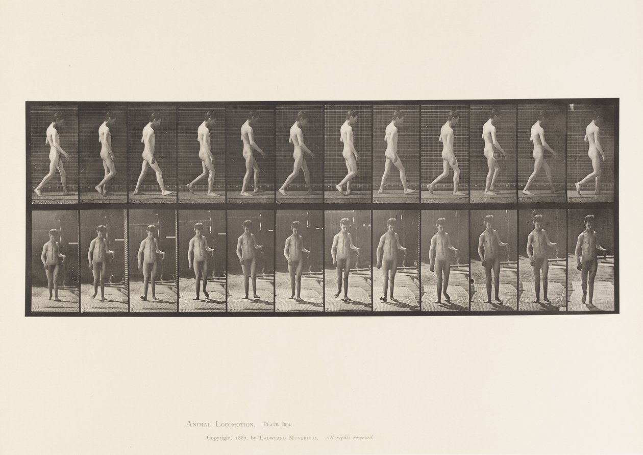 Plate 551.Epilepsi; Gående, 1885 av Eadweard Muybridge