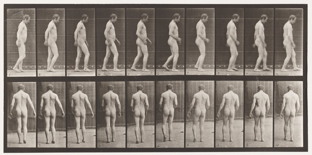 Plate 553.Etter Traumatism of Head; Gående, 1885 av Eadweard Muybridge