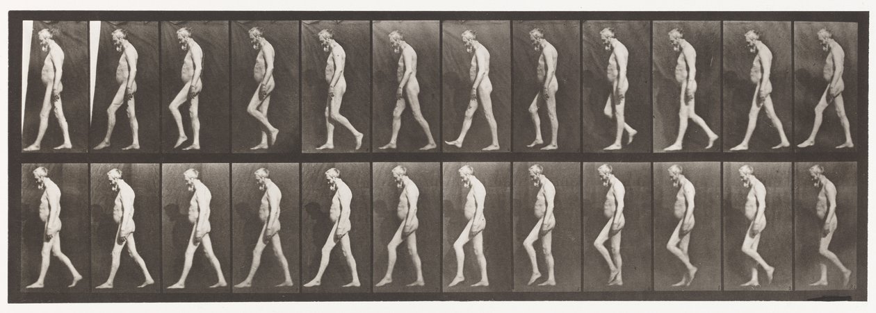 Plate 555. Muskelatrofi av ben; Voksen, A,B, Turgåing, 1885 av Eadweard Muybridge