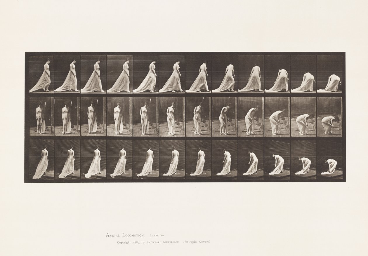 Plate 56. Gå, snu og bøye seg for å løfte tog av Eadweard Muybridge