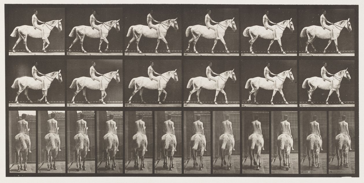 Plate 581.Walking;Bareback;Rytter,43, Naken; Lysgrå hest Smith, 1885 av Eadweard Muybridge
