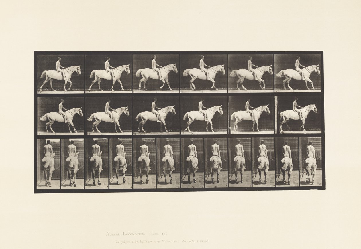 Plate 582. Gange;Sadel; Rytter, 43, naken; Lysgrå hest Smith av Eadweard Muybridge