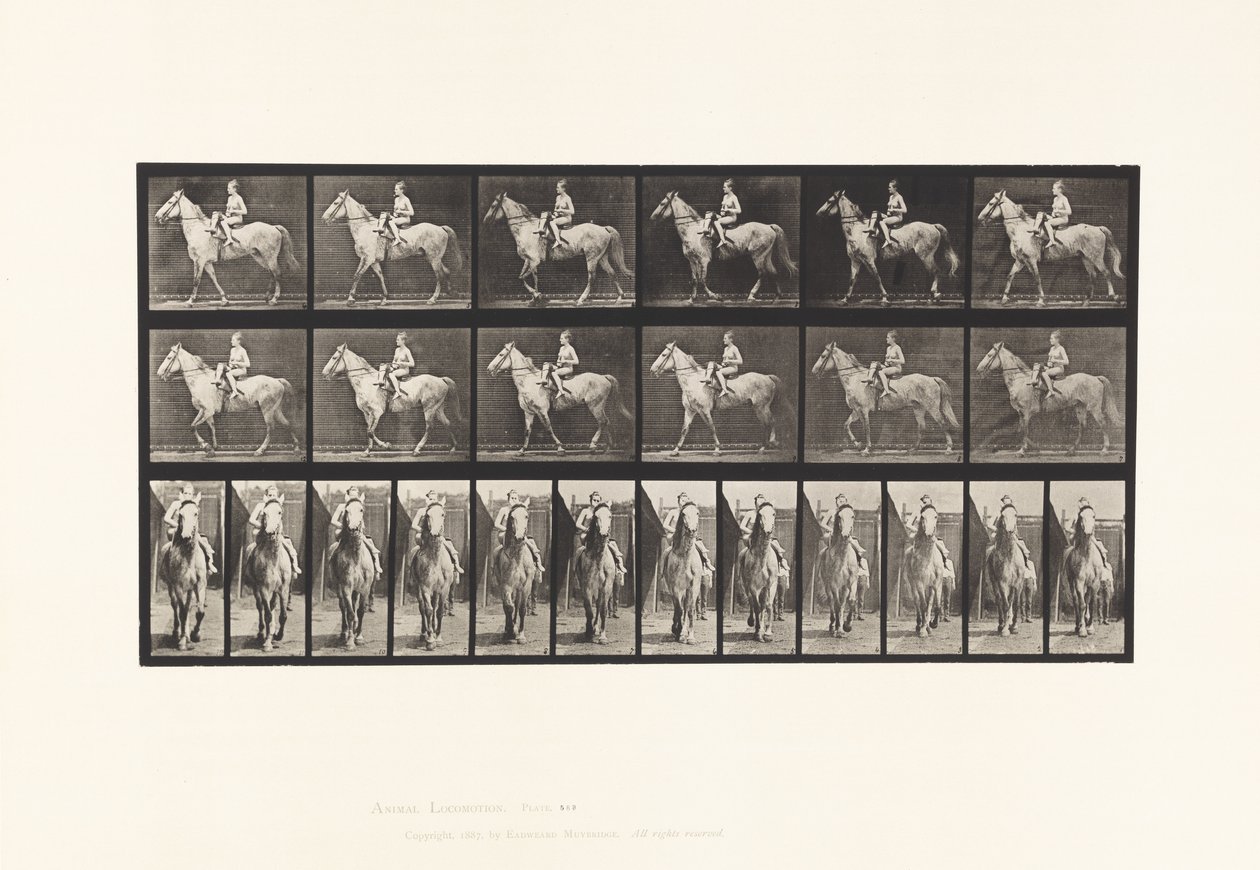 Plate 583.Gå; Sal; Kvinnelig rytter; Naken; Grey Horse Tan, 1885 av Eadweard Muybridge