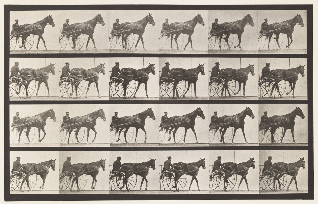 Plate 587.Gå; Sulky; Sorrel Mare Nellie Rose, 1885 av Eadweard Muybridge