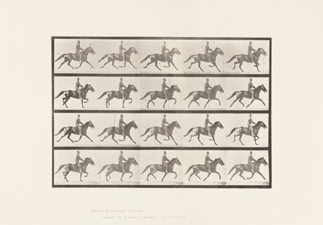 Plate 591.Vyngende av Eadweard Muybridge