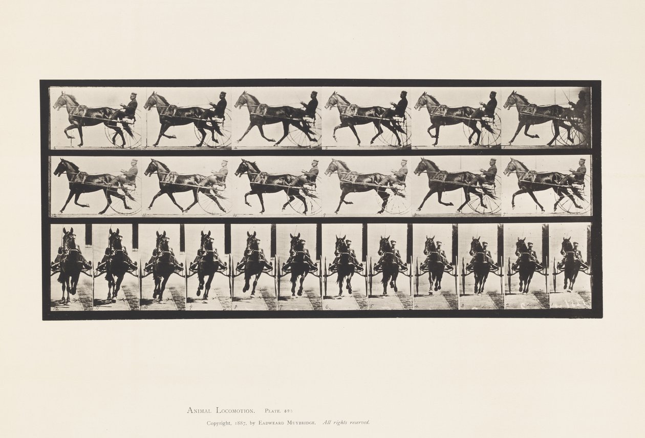 Plate 595. Rocking (Pacing): Sulky; Brun hest Pronto av Eadweard Muybridge