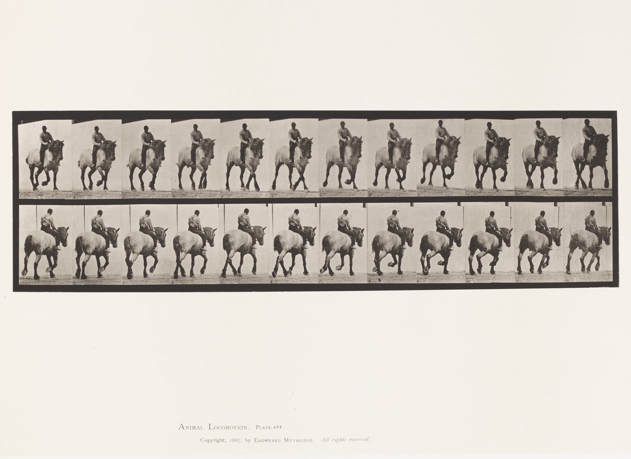 Plate 599. Trav; Bareback; Mørkegrå Dusel av Eadweard Muybridge