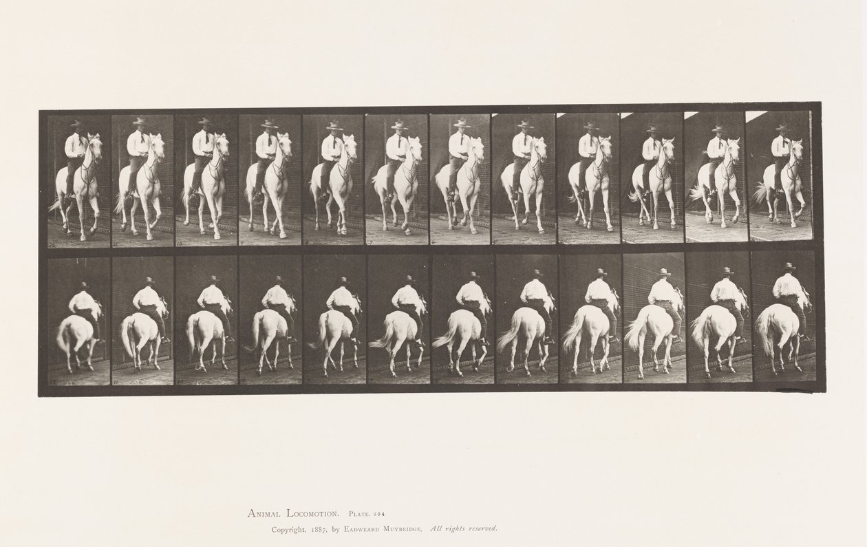 Plate 604. Trav; Sal; White Horse, Elberon av Eadweard Muybridge