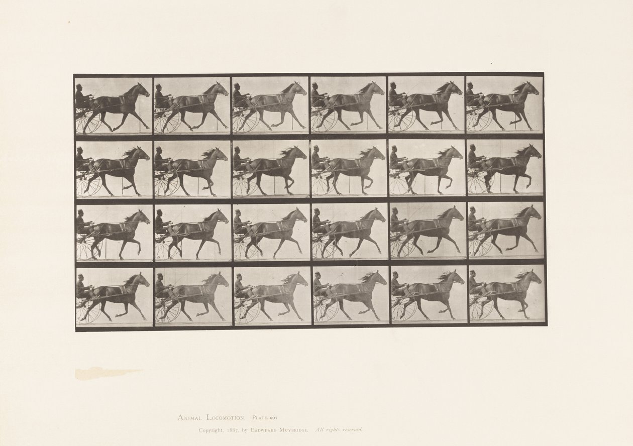 Plate 607. Trav; Sulky; Bay Mare, Lizzie M. av Eadweard Muybridge