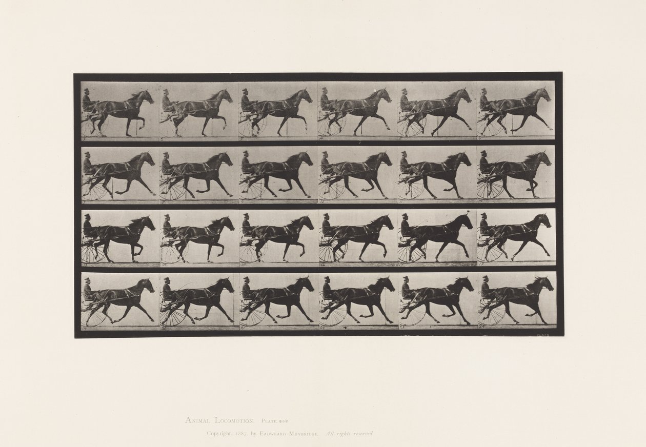 Plate 608. Trav; Sulky; Sorrel Mare, Flode Holden av Eadweard Muybridge