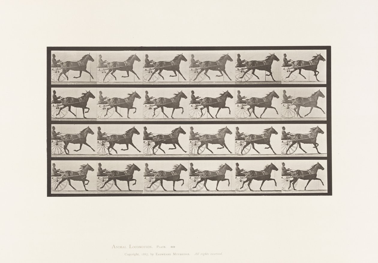Plate 609. Trav; Sulky; Bay Mare, Lizzie M. av Eadweard Muybridge