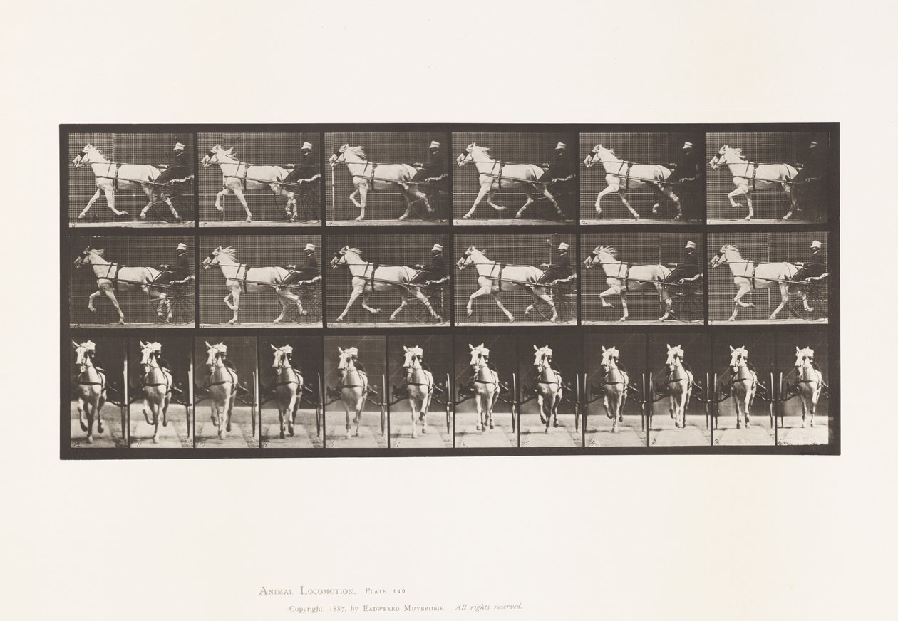 Plate 610. Trav; Sulky; Grey Mare, Katydid av Eadweard Muybridge