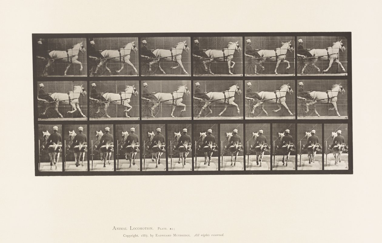 Plate 611. Trav; Sulky; Grey Mare, Katydid av Eadweard Muybridge