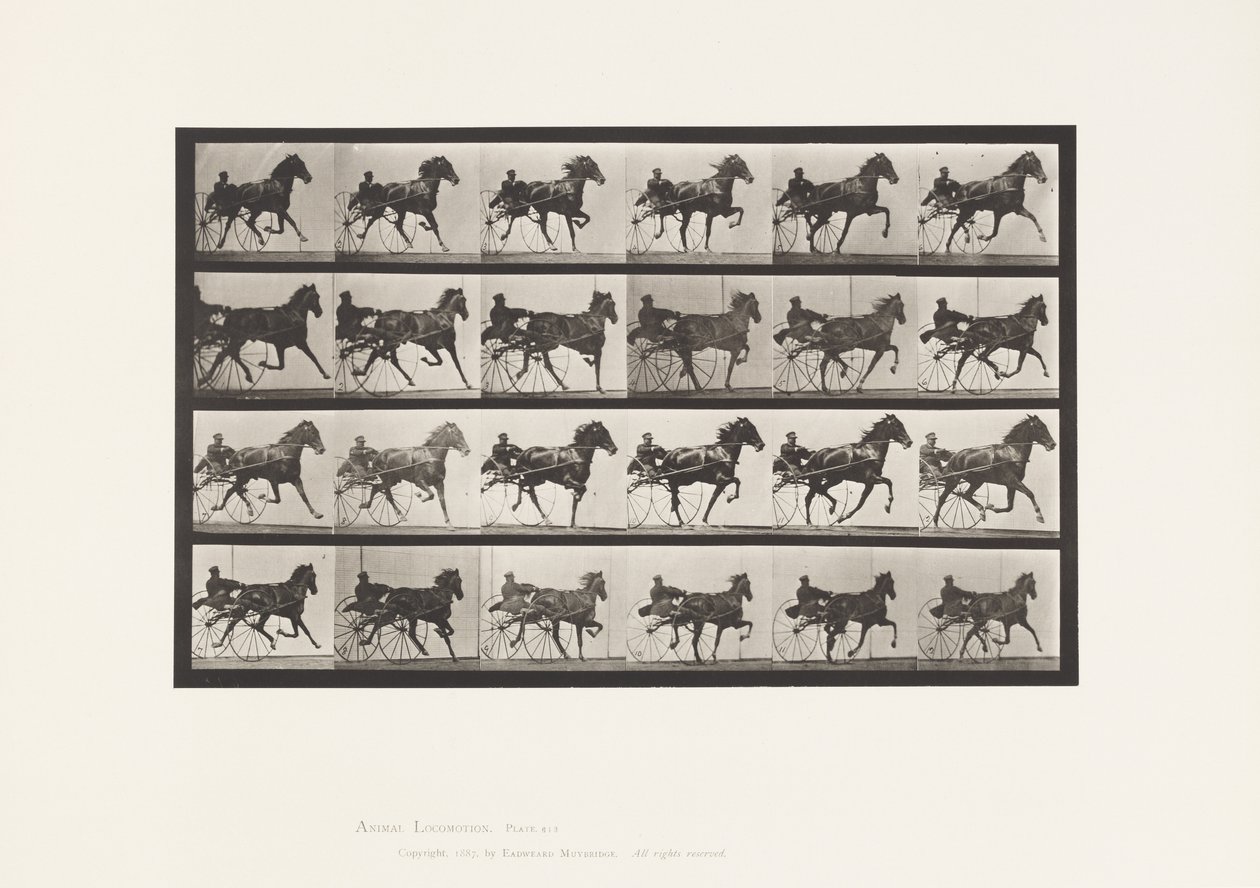 Plate 613. Trav; Sulky; Sorrel Mare Nellie Rose av Eadweard Muybridge