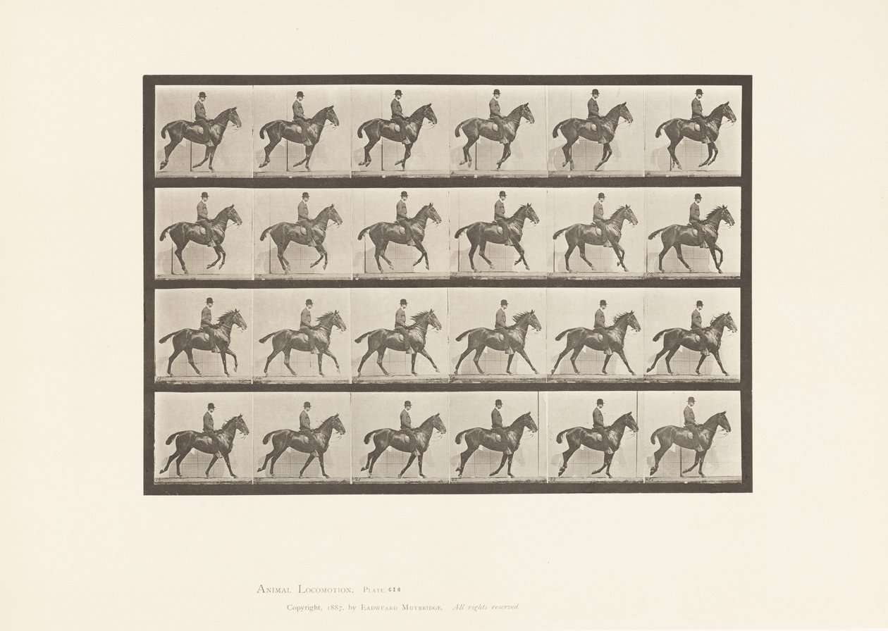 Tallerken 616. Galopp; Sal; Bay Horse Daisy av Eadweard Muybridge
