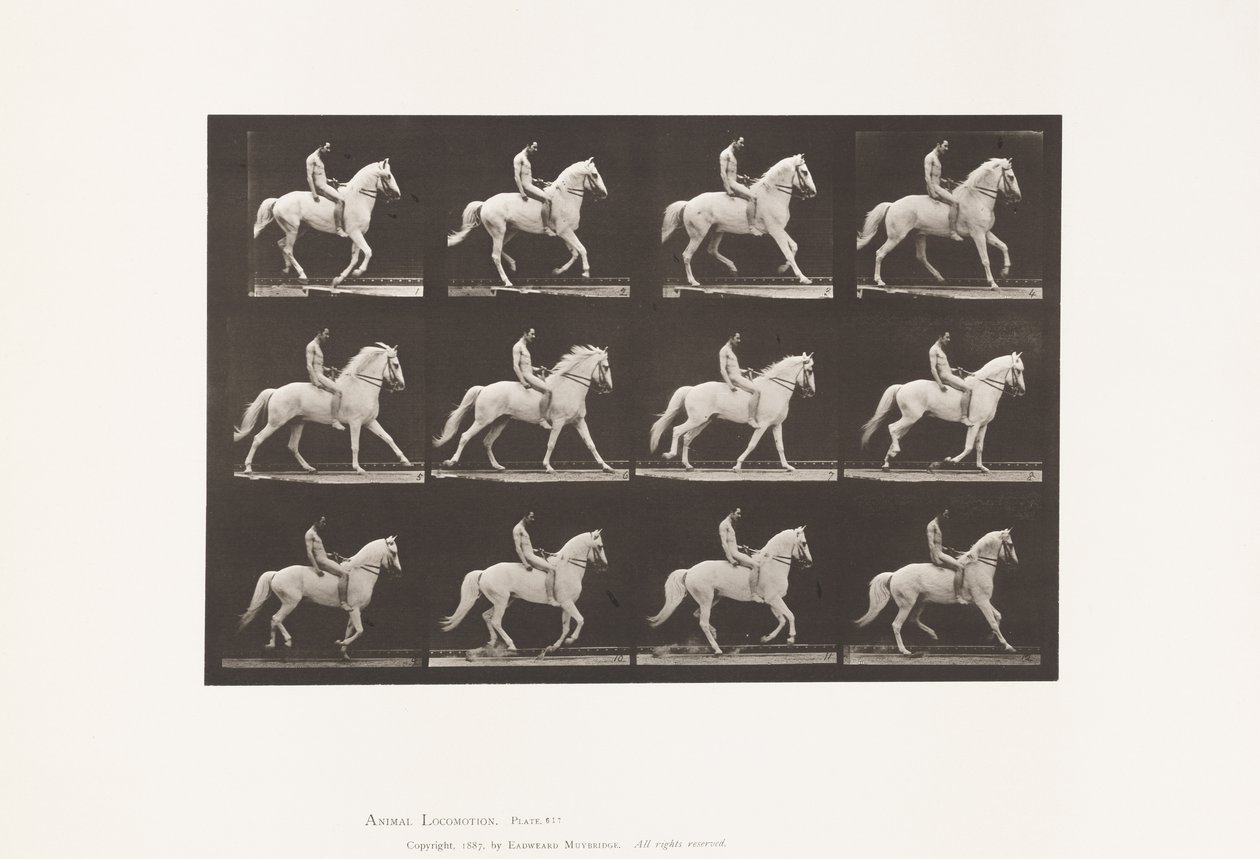 Plate 617. Galopp; Bareback; Rytter, 106, naken; White Horse Clinton, 1885 av Eadweard Muybridge