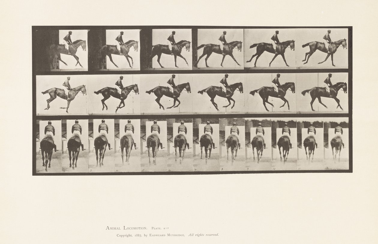 Tallerken 620. Galopp; Sal; Fullblods Bay Mare Annie 6. av Eadweard Muybridge