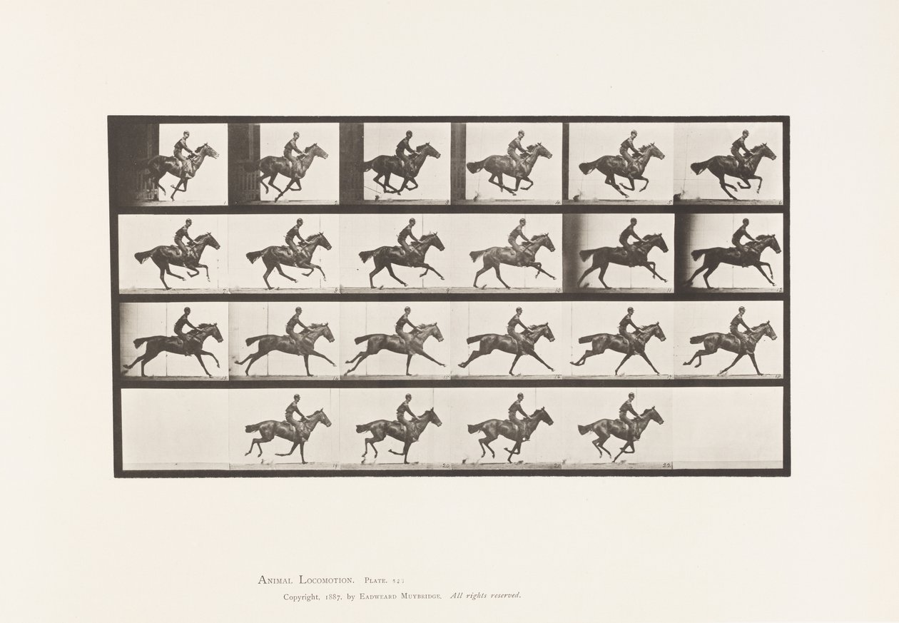 Tallerken 625. Galopp; Fullblods Bay-hestebukett av Eadweard Muybridge