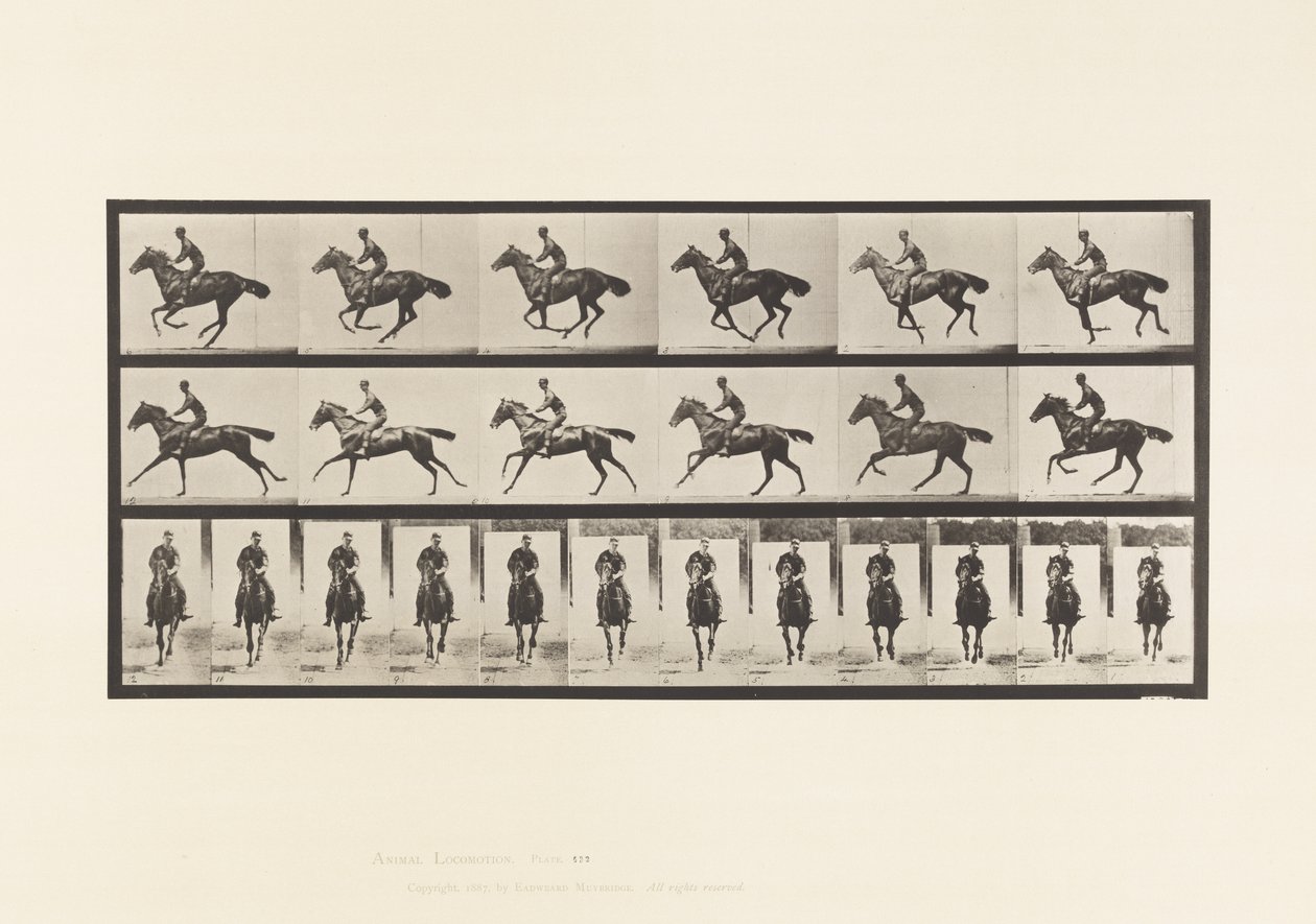 Plate 632. Galopp; Sal; Fullblods Bay-hestebukett av Eadweard Muybridge