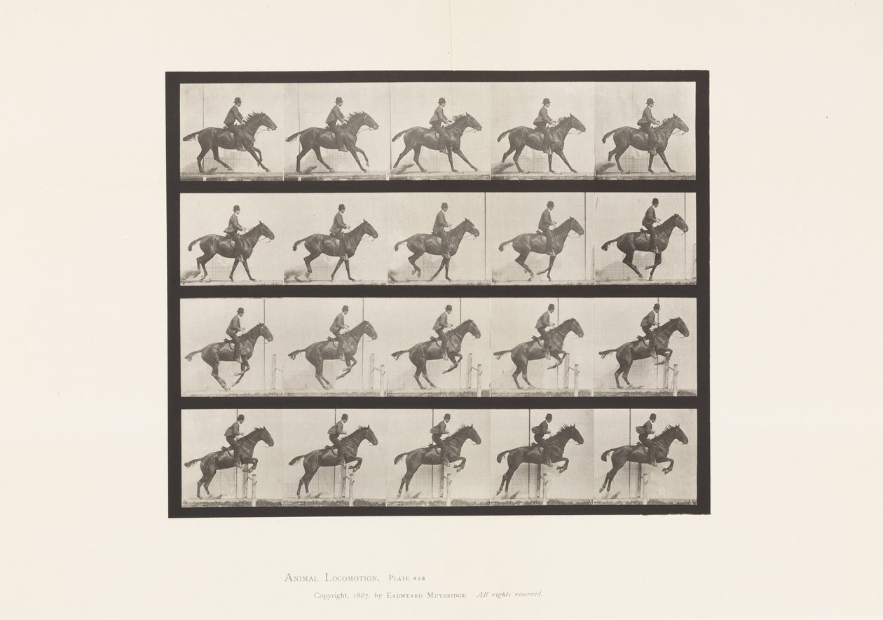 Plate 636. Hoppe et hinder; Sal; Forbereder seg på spranget av Eadweard Muybridge