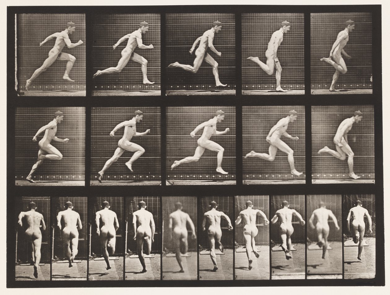 Plate 63. Kjører i full fart. av Eadweard Muybridge