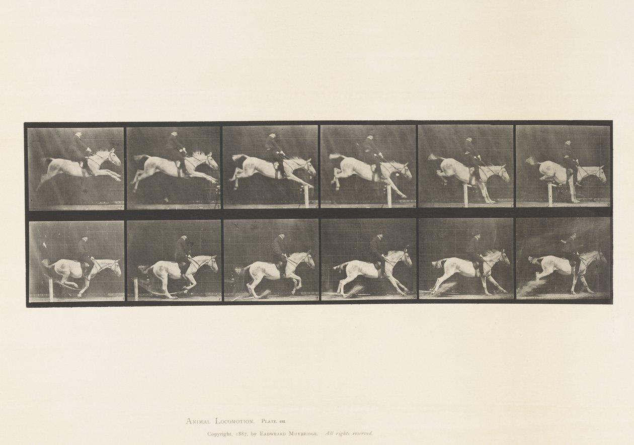 Plate 641. Hoppe et hinder; Sal; Bank over hinder og av Eadweard Muybridge