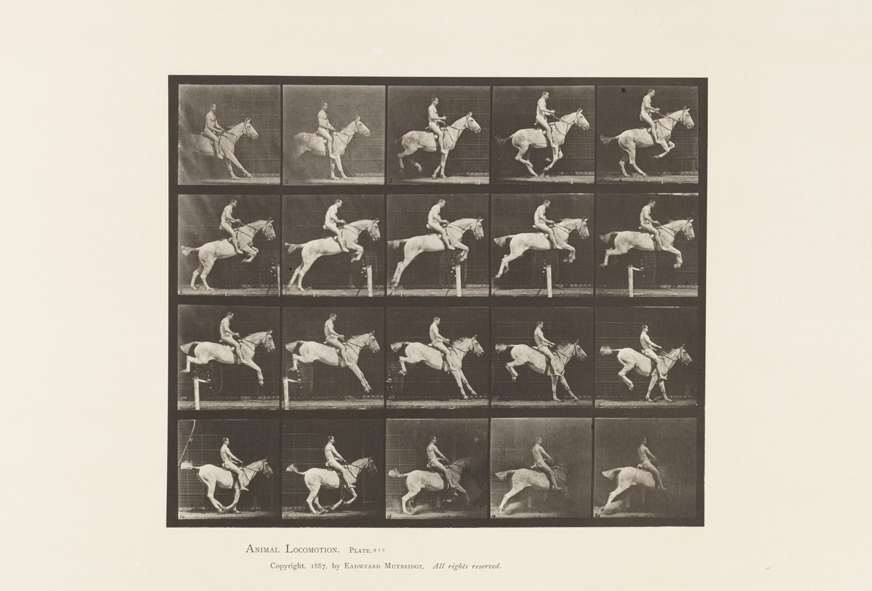 Plate 642. Hoppe et hinder; Sal; Rytter, 105, naken; Grå hoppe, 1885 av Eadweard Muybridge