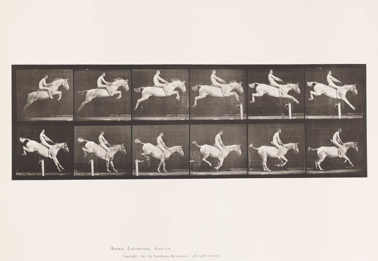 Plate 643. Hoppe et hinder; Bareback; Rydding og landing; av Eadweard Muybridge