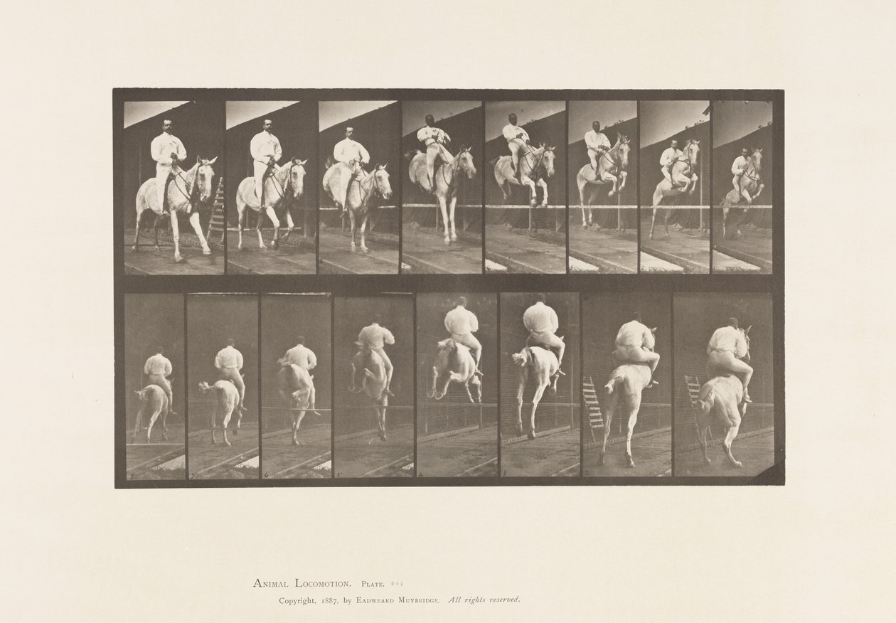 Plate 644. Hoppe et hinder; Sal; Rydding og landing av Eadweard Muybridge
