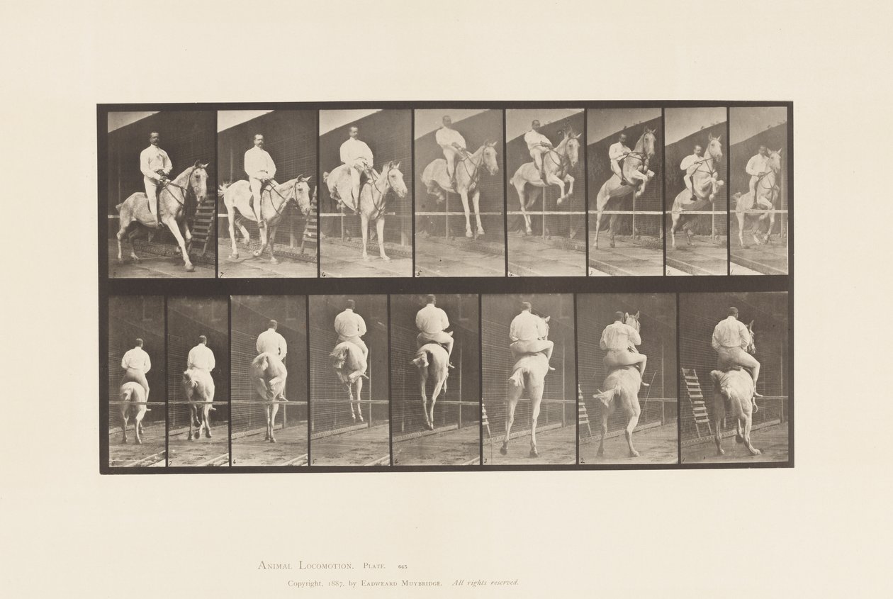 Plate 645. Hoppe et hinder; Sal; Rydding og landing av Eadweard Muybridge