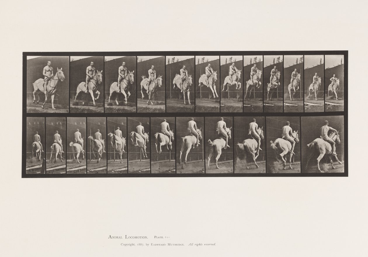 Plate 646. Hoppe et hinder; Sal; Rytter, 105, naken;, 1885 av Eadweard Muybridge