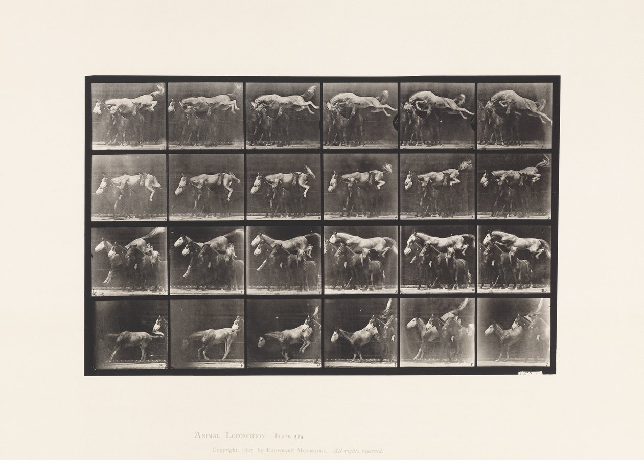 Plate 648. Hoppe over tre hester; A,B; Chestnut Horse Hornet av Eadweard Muybridge
