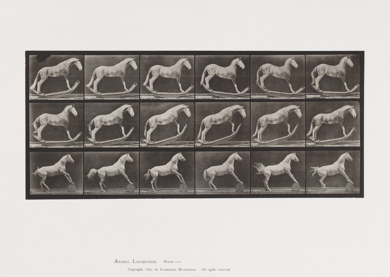 Plate 649.A, Hornet, Rocking; B, Eagle, Rolling Barrel, etc. av Eadweard Muybridge