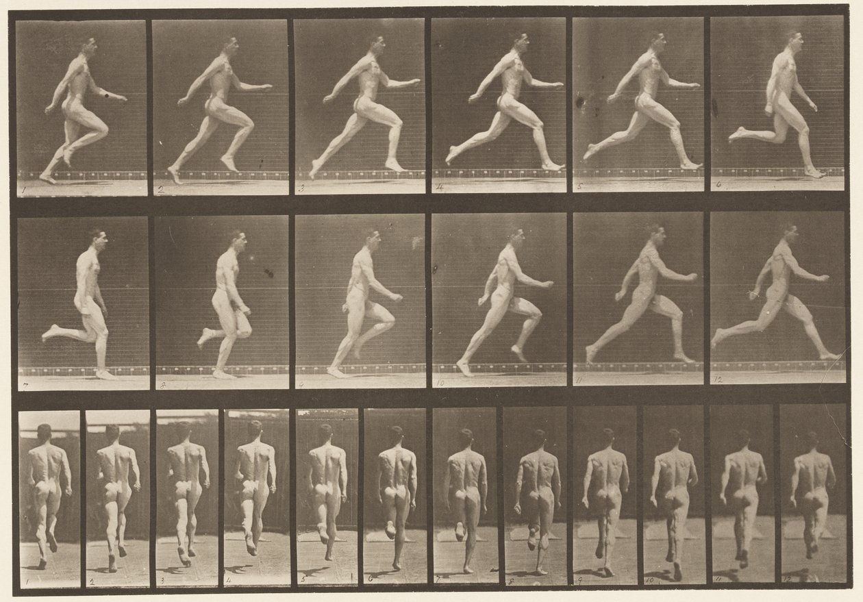 Plate 64. Kjører i full fart av Eadweard Muybridge
