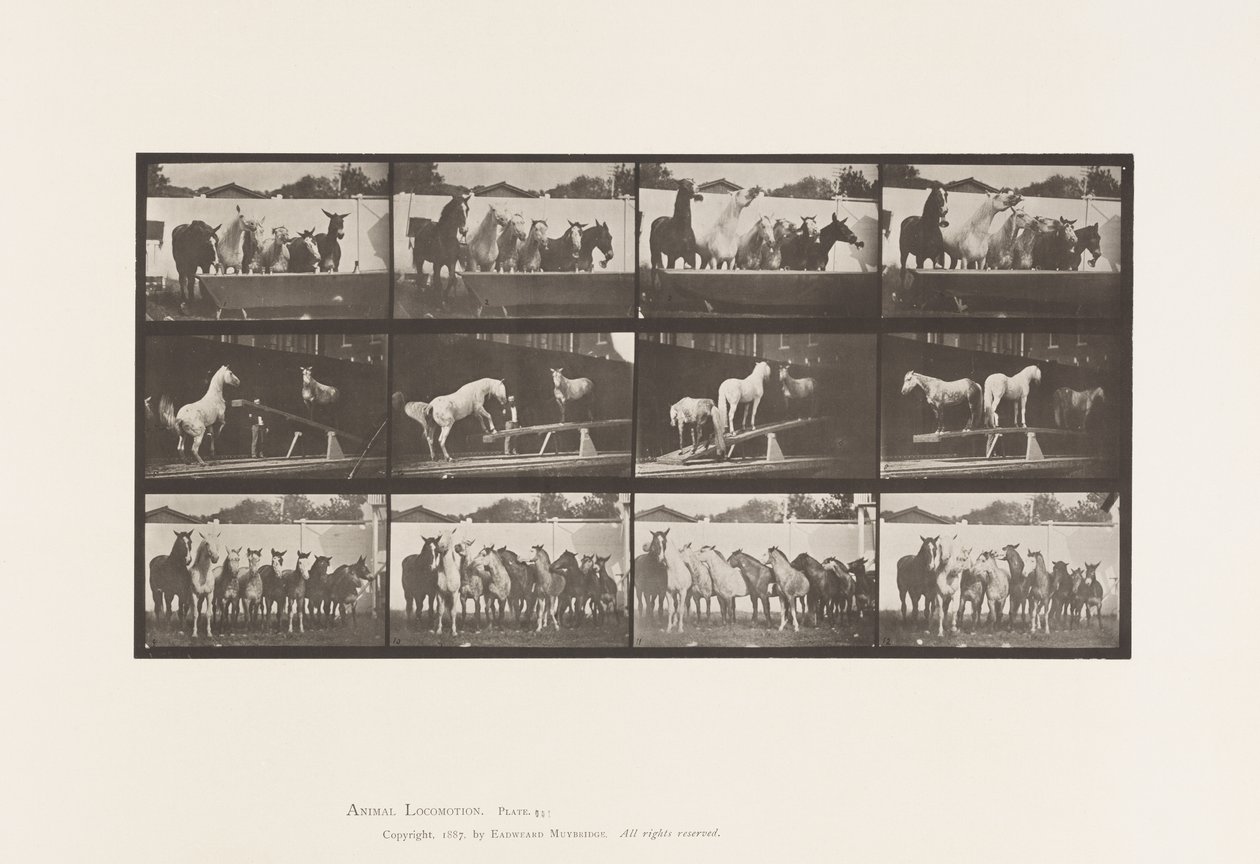 Plate 651.A, Klokkering; B, Teeter Board; C, Militærøvelse av Eadweard Muybridge