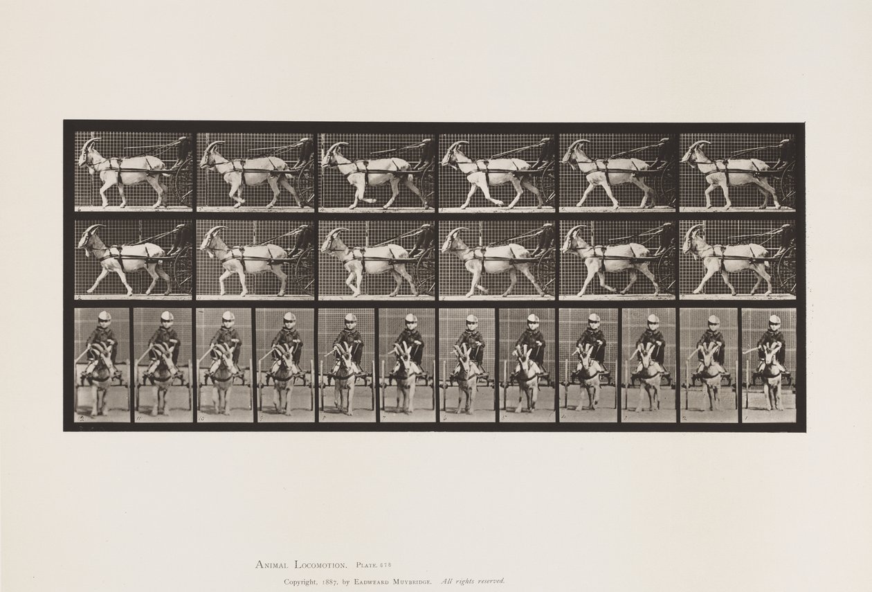 Plate 678. Geit; Trav, i Sulky av Eadweard Muybridge