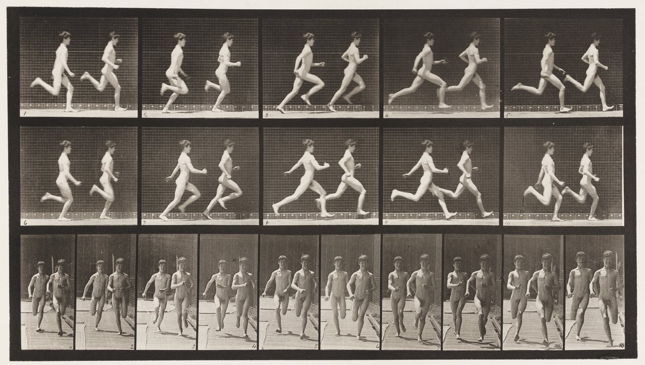 Plate 69. Kjører to modeller, 1872-1885 av Eadweard Muybridge