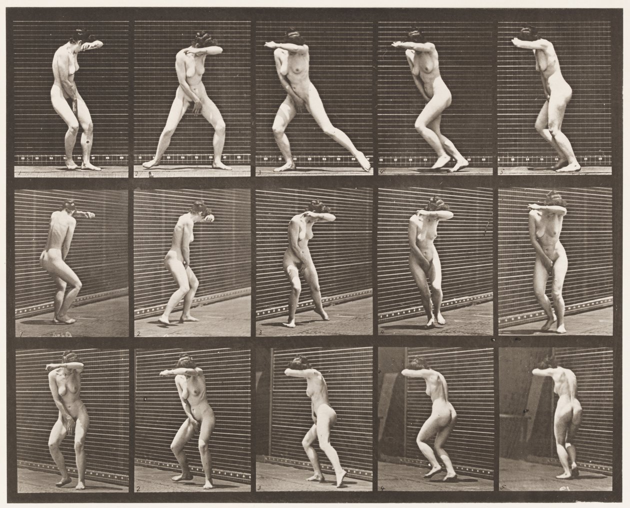 Plate 73. Snu rundt i overraskelse og løpe vekk, 1872-1885 av Eadweard Muybridge