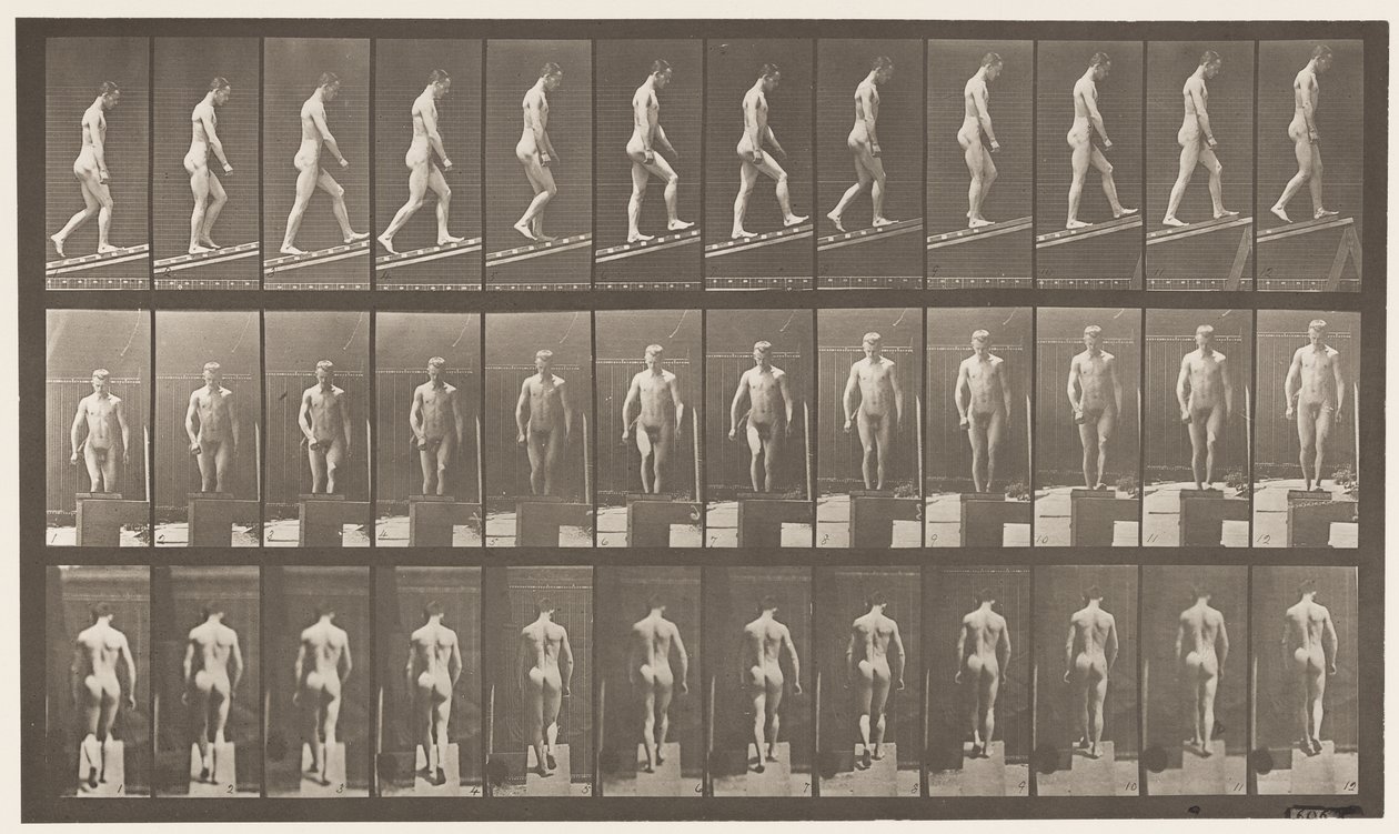 Plate 74. Stigende helling, vinkel 1 i 4 av Eadweard Muybridge