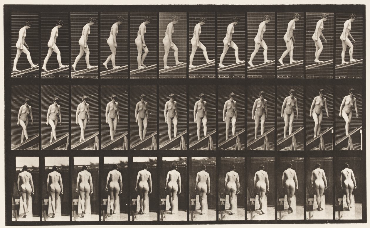 Plate 76. Stigende stigning av Eadweard Muybridge