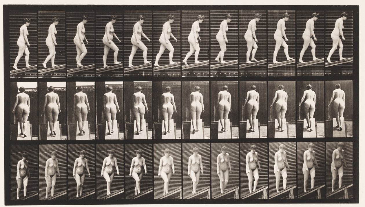 Plate 77. Stigende stigning av Eadweard Muybridge